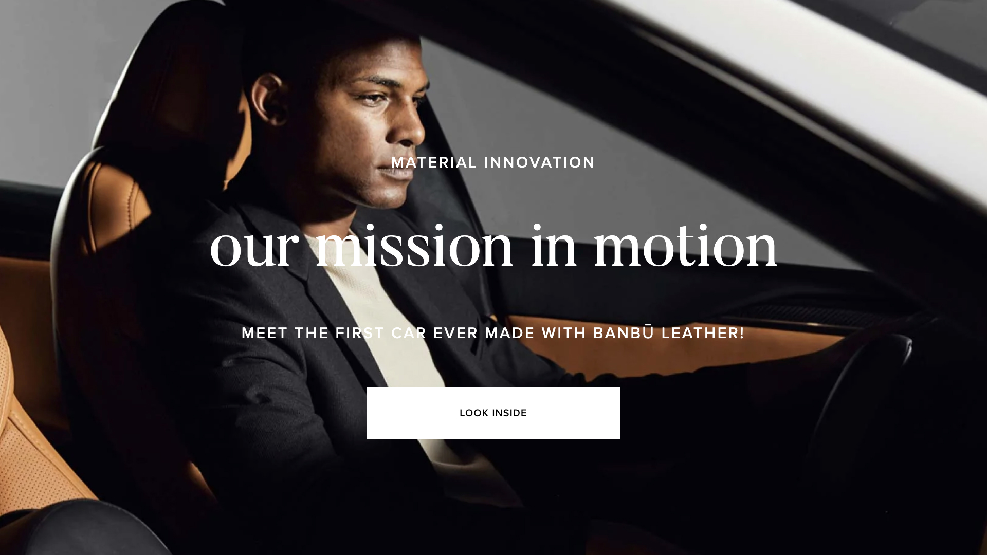 Von Holzhausen Website Development